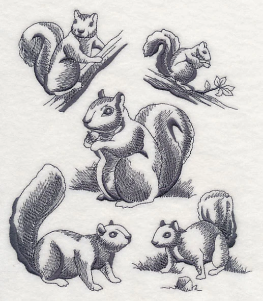 Squirrel Scurry - Image 4