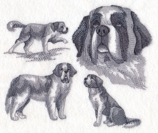 St. Bernard Sketch - Image 2
