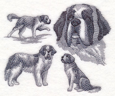 St. Bernard Sketch - Image 3