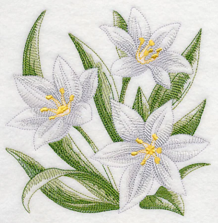 Star of Bethlehem Sketch - Image 3