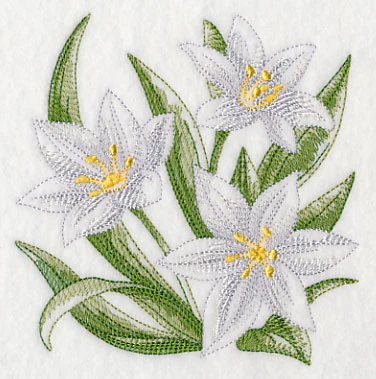 Star of Bethlehem Sketch - Image 4