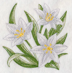 Star of Bethlehem Sketch - Image 5