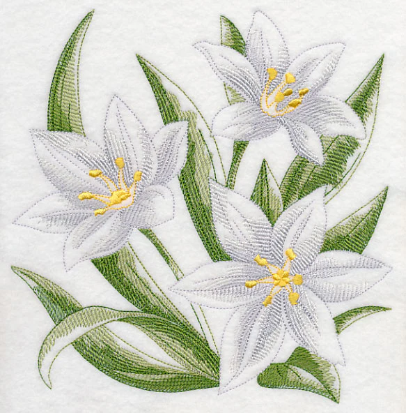 Star of Bethlehem Sketch - Image 6