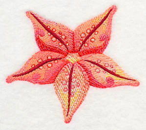 Starfish in Watercolor - Image 3
