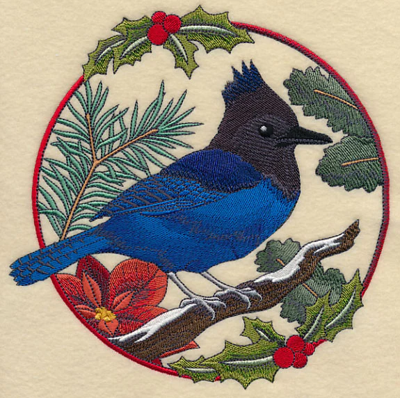 Steller's Jay in Christmas Blooms