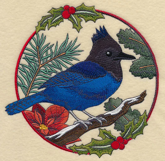 Steller's Jay in Christmas Blooms - Image 2