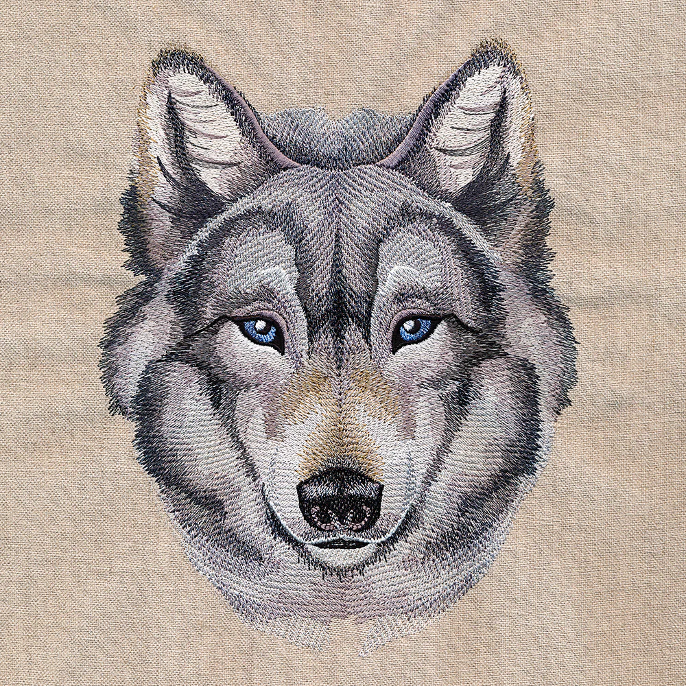 Striking Wild Wolf - Image 5