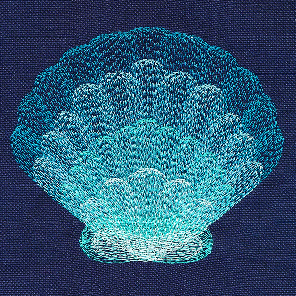 Stunning Scalloped Shell - Image 7