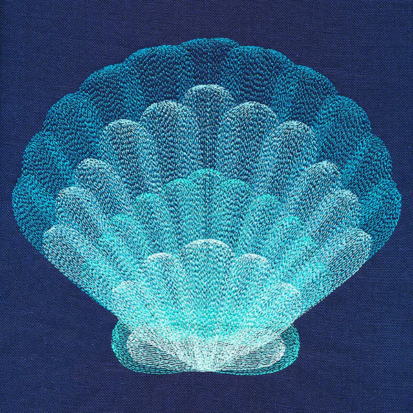 Stunning Scalloped Shell - Image 9