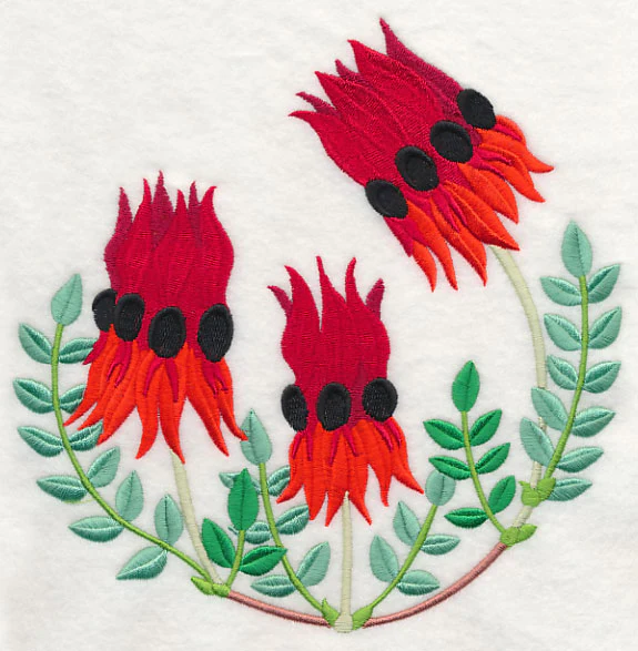 Sturt's Desert Pea - Image 6