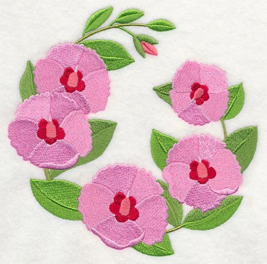 Sturt's Desert Rose - Image 2