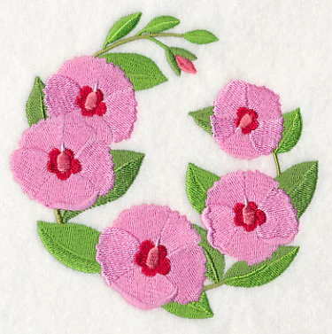 Sturt's Desert Rose - Image 4