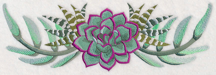 Stylish Succulents Border