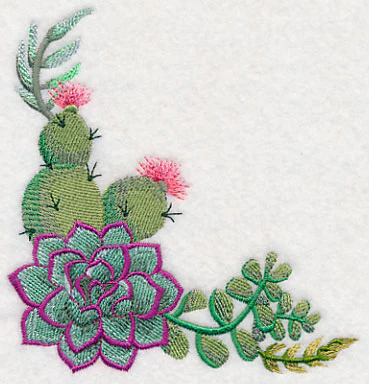 Stylish Succulents Corner - Image 2