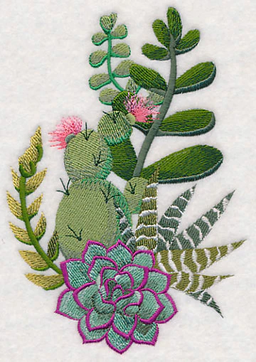 Stylish Succulents Spray - Image 4