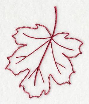Sugar Maple Leaf (Vintage) - Image 3