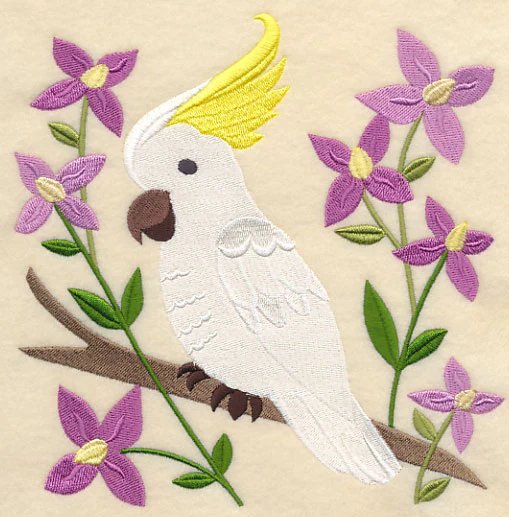 Sulphur-crested Cockatoo and Aniseed Boronia - Image 2