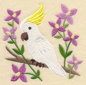Sulphur-crested Cockatoo and Aniseed Boronia - Image 5