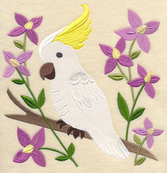 Sulphur-crested Cockatoo and Aniseed Boronia - Image 6