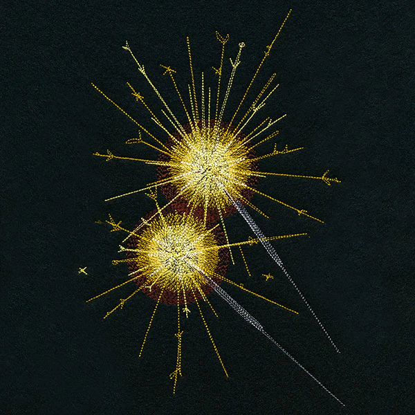 Summer Sparkler Fireworks Feature