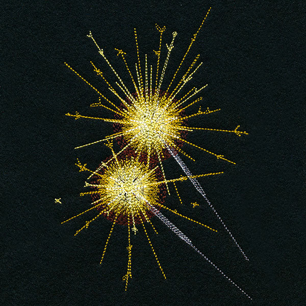 Summer Sparkler Fireworks Feature - Image 3