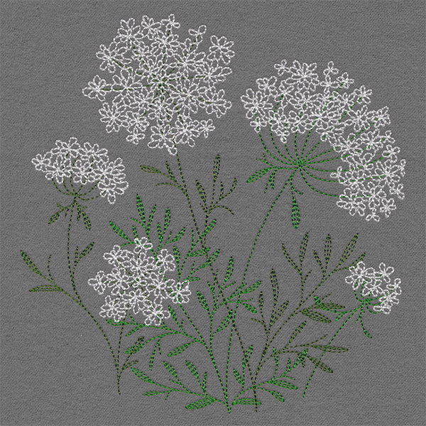 Summer Wonders - Queen Anne's Lace - Image 5