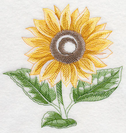 Sunflower Beauty - Image 3