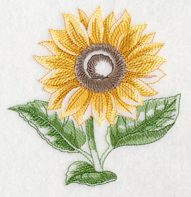 Sunflower Beauty - Image 4