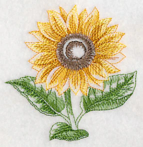 Sunflower Beauty - Image 5