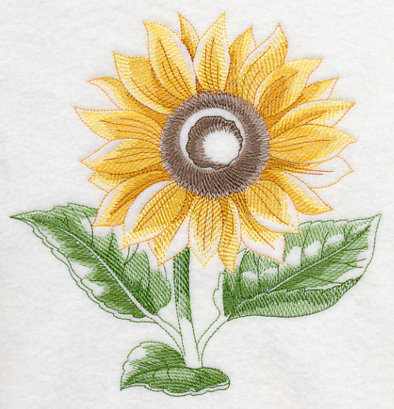 Sunflower Beauty - Image 6