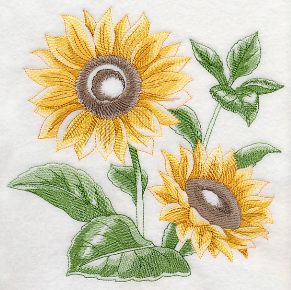 Sunflower Sketch - Image 6