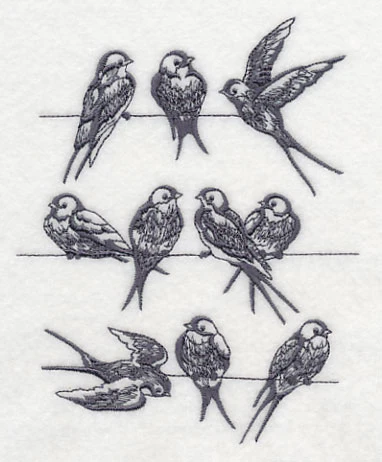 Swallows on a Wire - Image 4