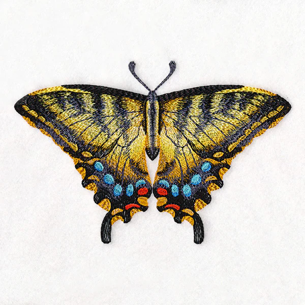 Swallowtail Specimen - Image 5