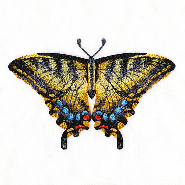 Swallowtail Specimen - Image 7