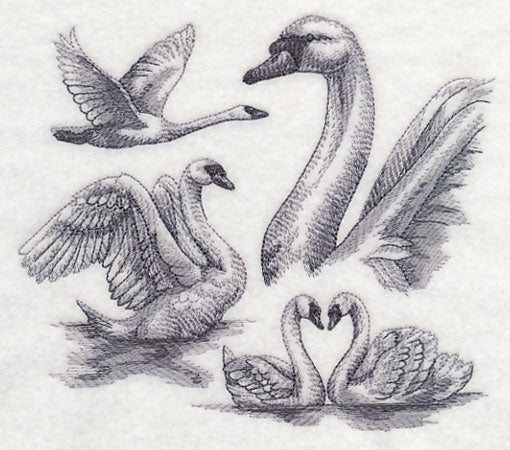 Swan Sketch - Image 2