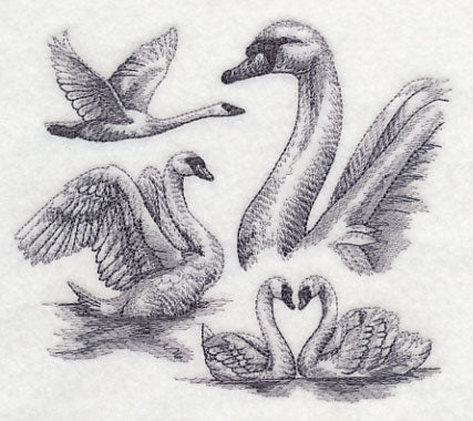 Swan Sketch - Image 3