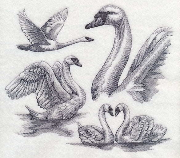 Swan Sketch - Image 4
