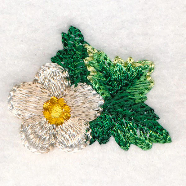 Sweet as Can Be - Flower - Image 4