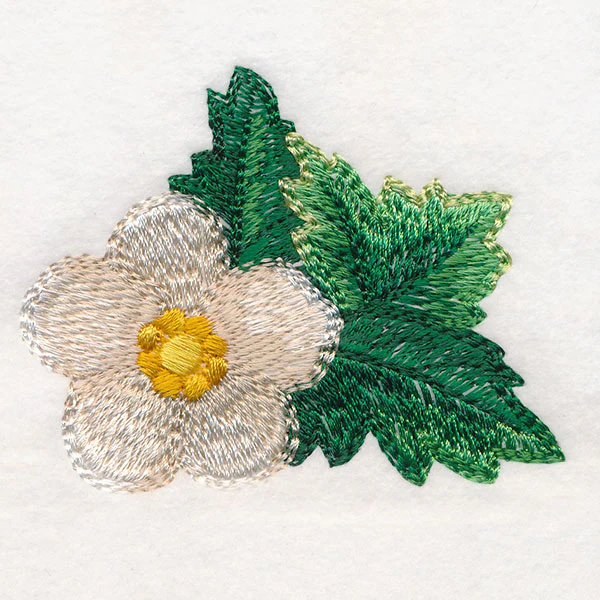 Sweet as Can Be - Flower - Image 5