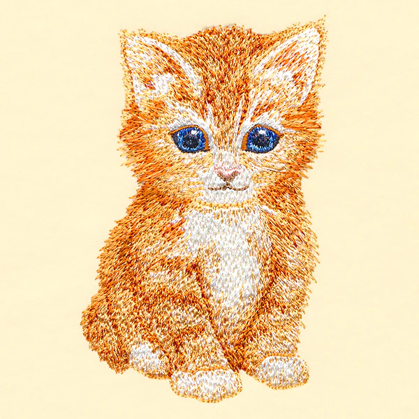 Sweet Baby Kitten - Image 3