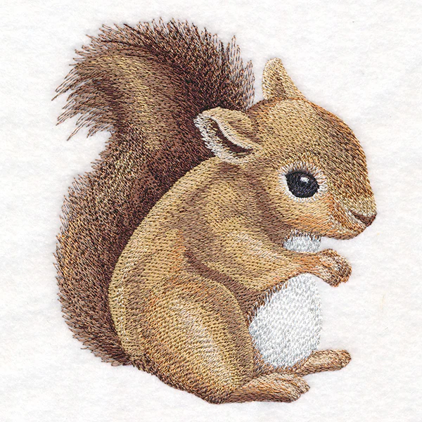 Sweet Baby Squirrel - Image 2