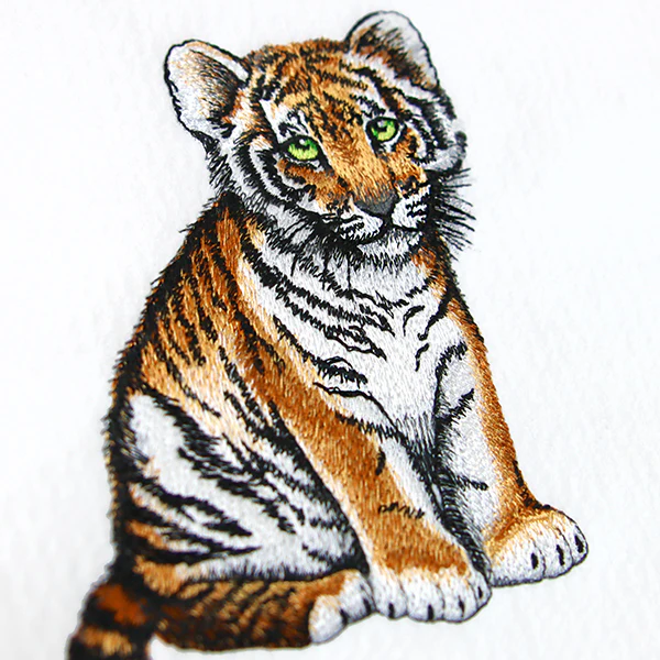 Sweet Baby Tiger - Image 2