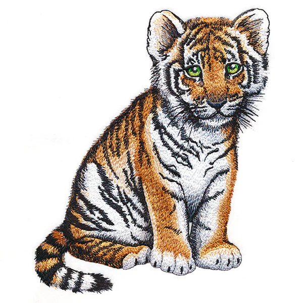Sweet Baby Tiger - Image 7