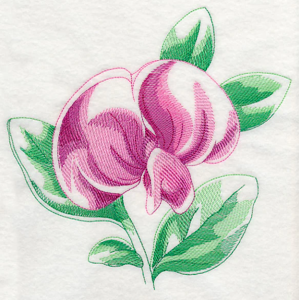 Sweet Pea Beauty