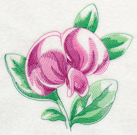 Sweet Pea Beauty - Image 3