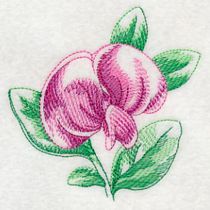 Sweet Pea Beauty - Image 5