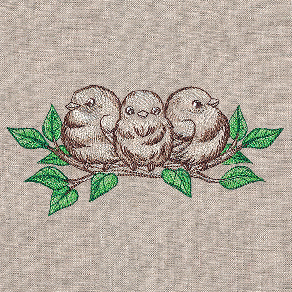 Sweet Tweets Trio - Image 7