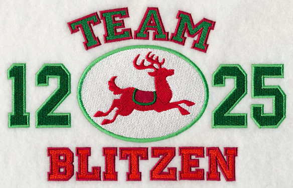 Team Blitzen - Image 3