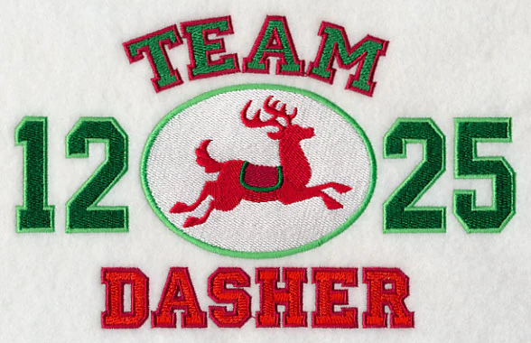 Team Dasher - Image 3