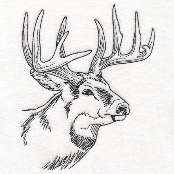 Ten Point Treasure - Image 5